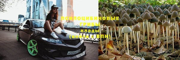 не бодяженный Касимов