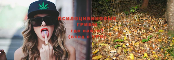 кокс Карпинск