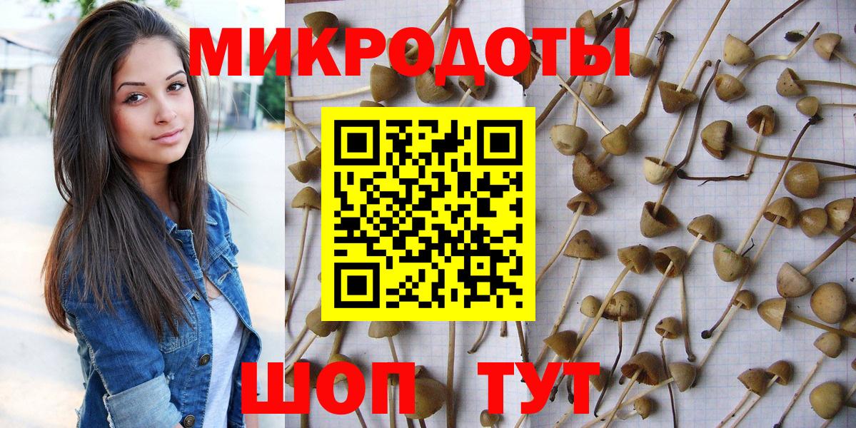 Псилоцибиновые грибы GOLDEN TEACHER Оренбург